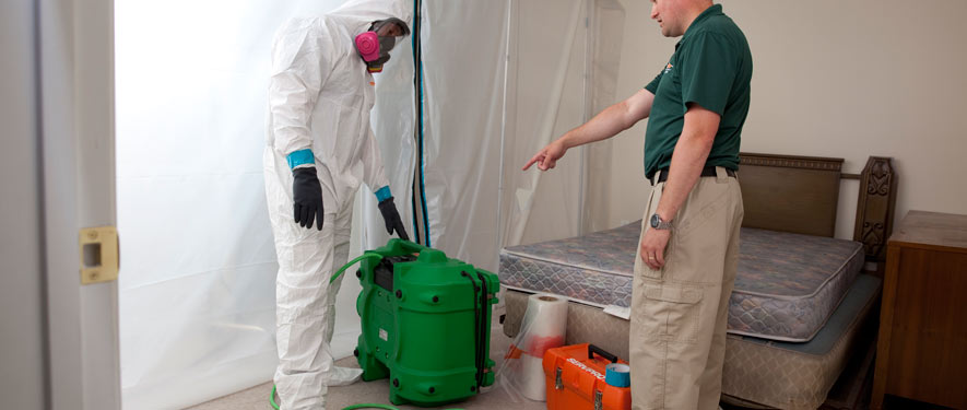 New Braunfels, TX mold removal process